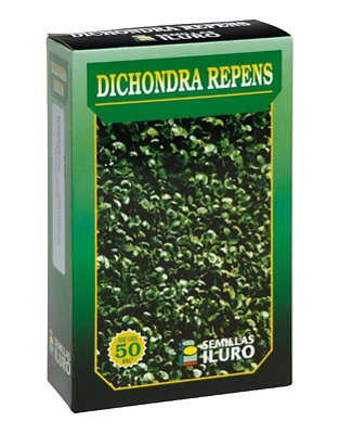 Césped Dichondra Repens ILURO 500 gr para terrenos de hasta 50 m²