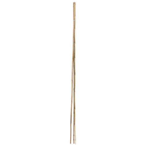 Soporte para plantar de bambú de 1.2m de alto y 8 mm de diámetro