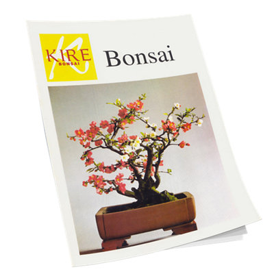 Guía bonsái Kire