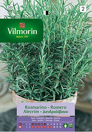 100 semillas Romero seeds   huerto aromático rosmarinus officinalis