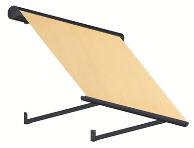 Toldo