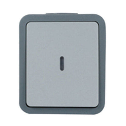 Interruptor con luz lexman extrem ip55 gris