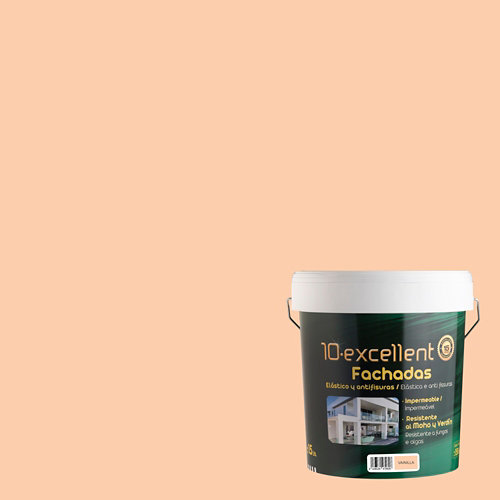 Pintura para fachadas elast. 10excellent vainilla mate 15l