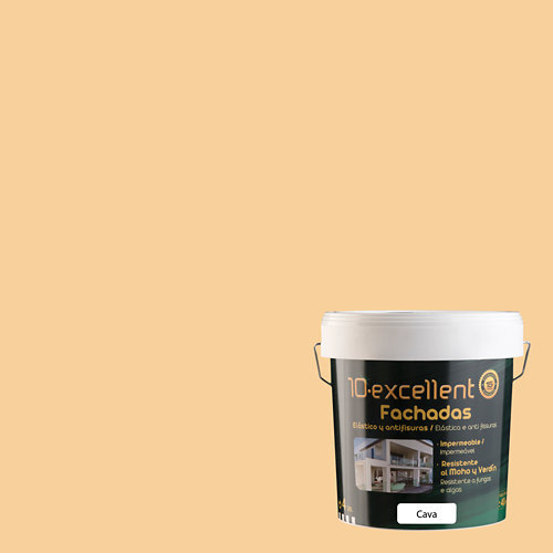 Pintura para fachadas elastica 10excellenct cava mate 4l