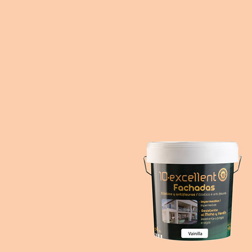 Pintura para fachadas elastica 10excellent vainilla mate 4l
