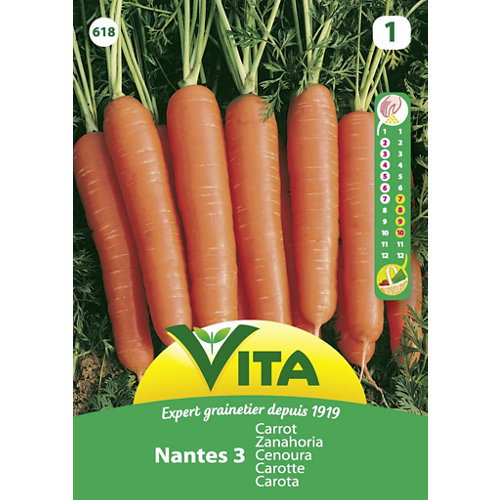 Semillas de zanahoria nantesa 3