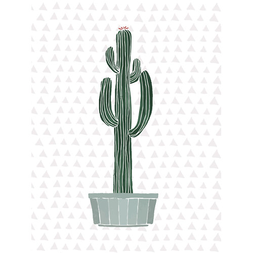 Lámina cactus 3 30 x 40 cm