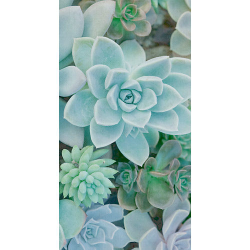 Mural decorativo autoadhesivo succulent turquesa 132x250 cm
