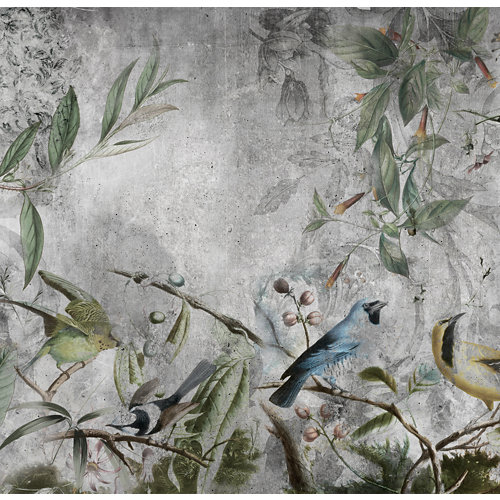 Mural autoadhesivo pájaros tropicales verde 257x250 cm