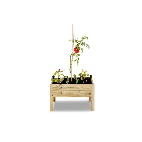 Huerto urbano kit leo de hortalia