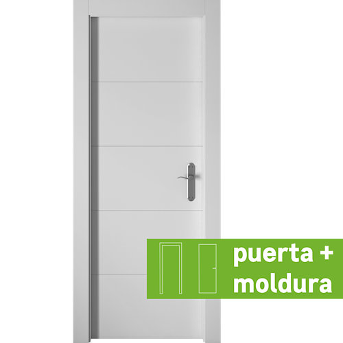 Puerta de entrada metálica derecha gris de 93x209.5 cm 24 Conjunto de puerta lucerna 62,5 izquierda + tapeta
