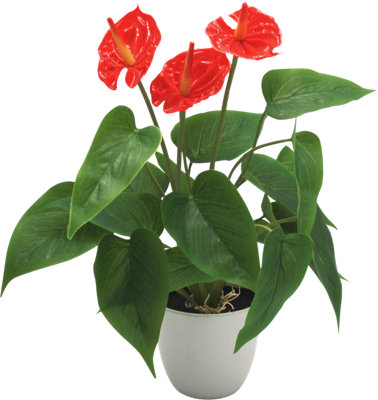 El _ QA _ 1 trozo artificialmente plantas rojo anthuríum falsas flores vida real 