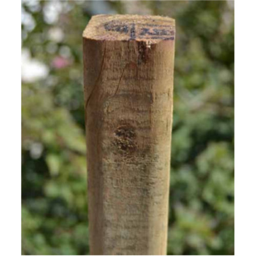 Poste de madera maciza 3/5 200 cm