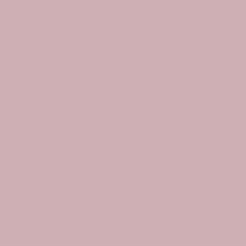 Pintura interior satinado reveton pro 0.75l 2020-r10b rojo rosado empolvado