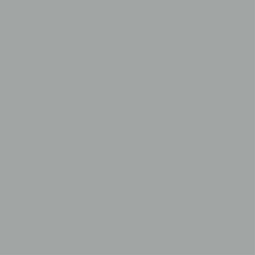 Tester de pintura mate 0.375l 1500-n gris plata muy luminoso de la marca REVETÓN en acabado de color Gris / plata fabricado en Varios, ver descripción