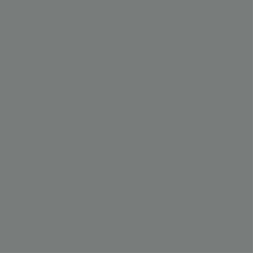 Tester de pintura mate 0.375l 6000-n gris estandar oscuro de la marca REVETÓN en acabado de color Gris / plata fabricado en Varios, ver descripción