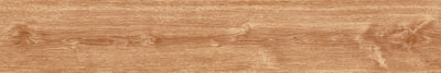 Suelo porcelánico ARTENS Harmony 20x120 cm huelva interior/exterior