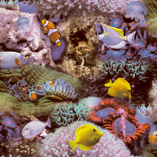 Papel pintado vinílico sin pvc animales ecológico mundo marino multicolor