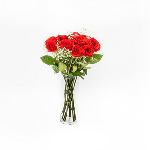 Ramo de 12 rosas rojas y paniculata