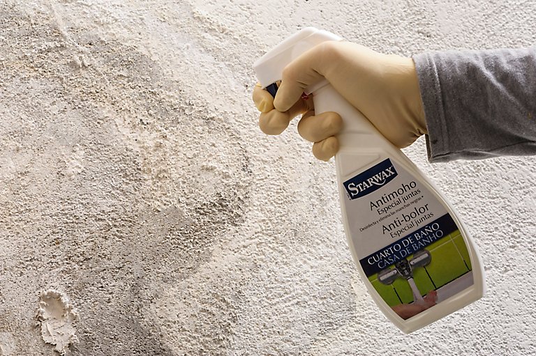 Como Eliminar El Moho Leroy Merlin