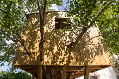 La casa del árbol de Simón