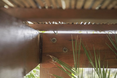 La pérgola del jardín de Macarena