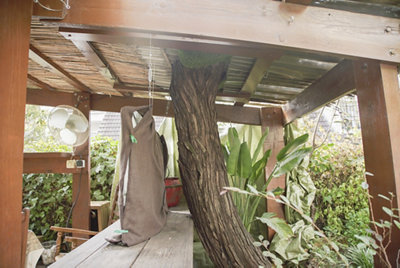 La pérgola del jardín de Macarena