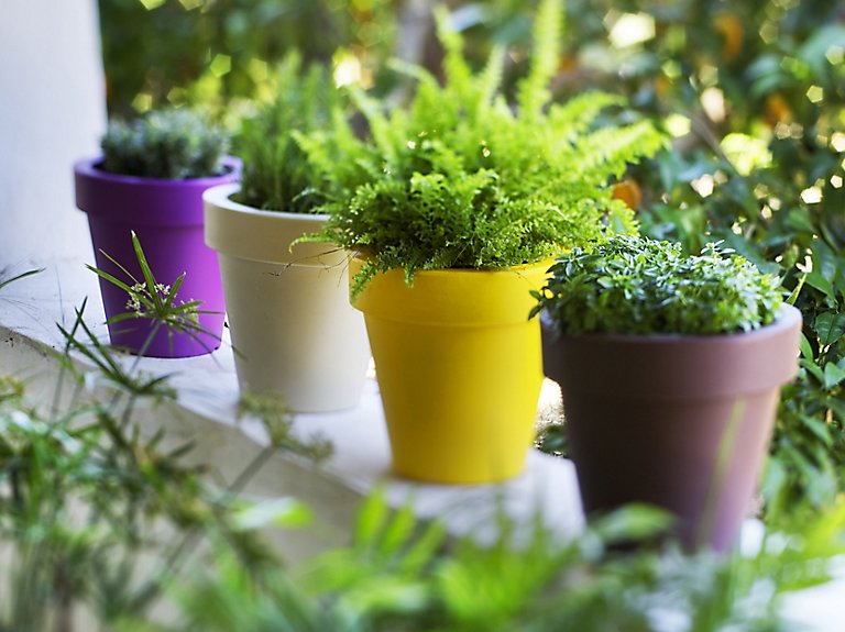 las macetas mas bonitas leroy merlin