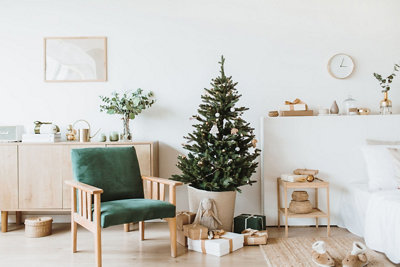 Plantas de Navidad para decorar tu casa