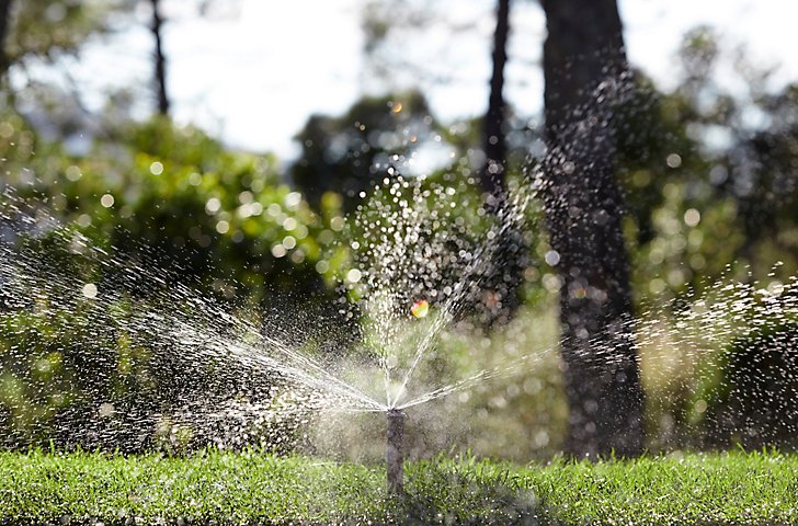 Cómo resembrar el césped despoblado