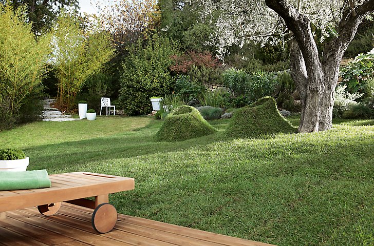 Cómo resembrar el césped despoblado